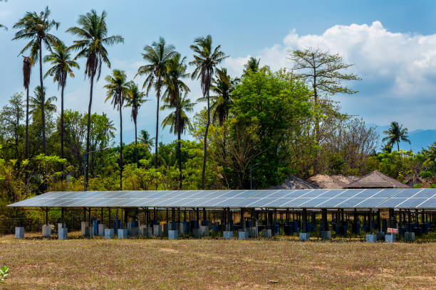 Island Energy Storage Solutions